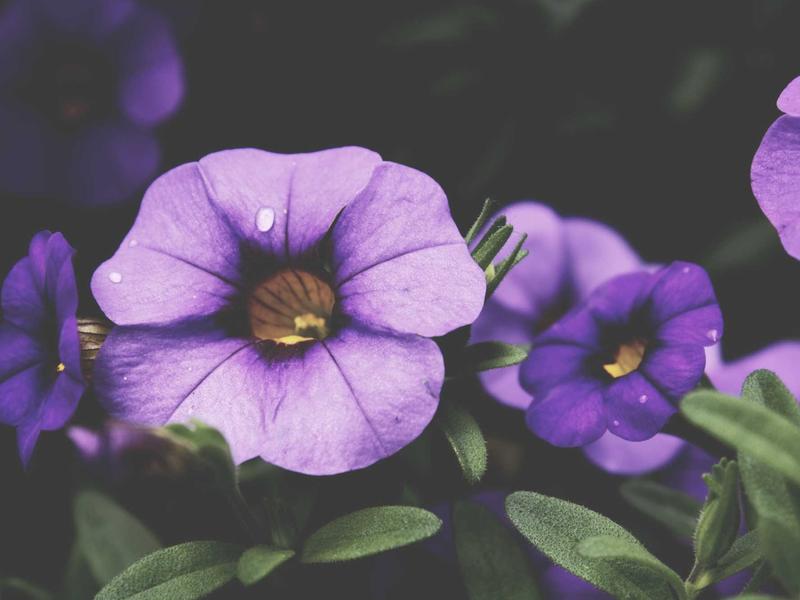 sudoku strategies screenshot 6